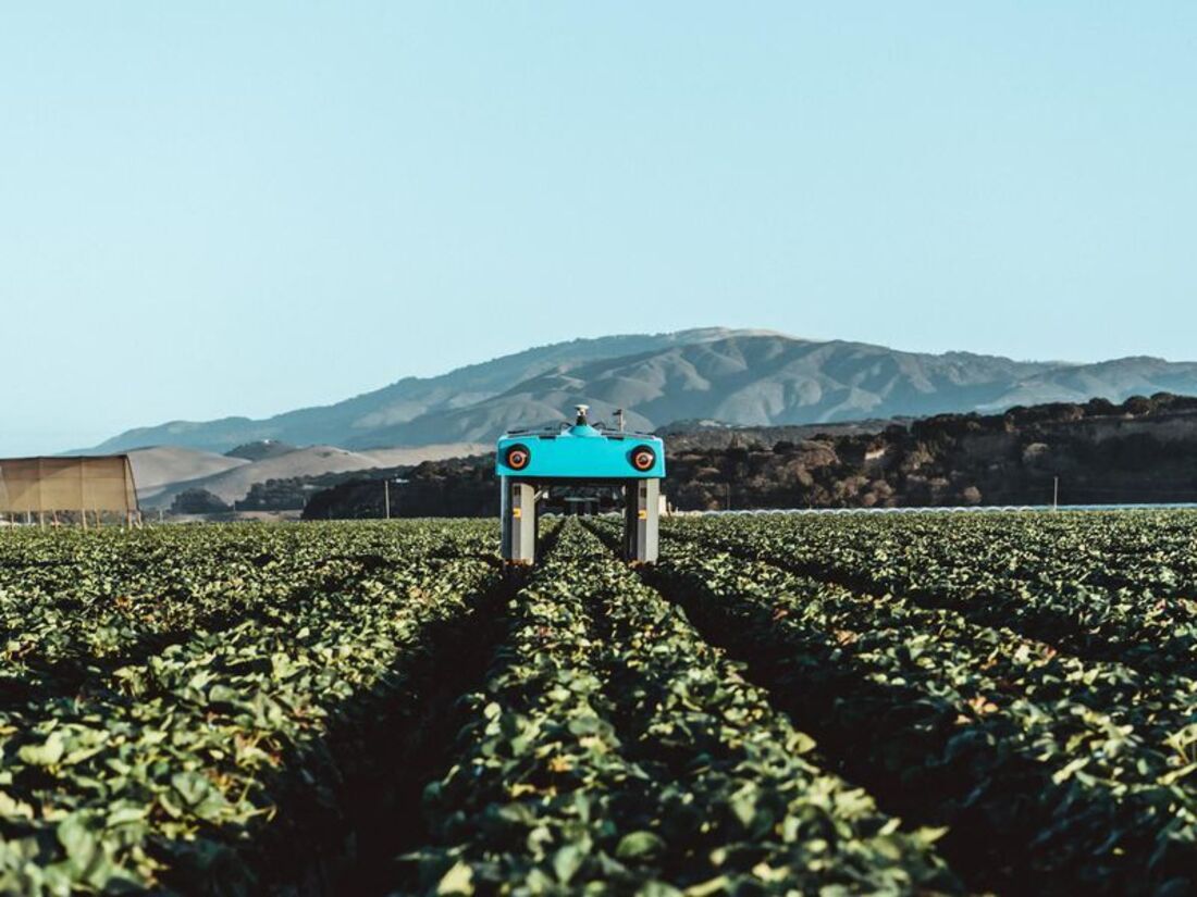 Is This Weed-Spotting, Yield-Predicting Rover The Future of Farming ...