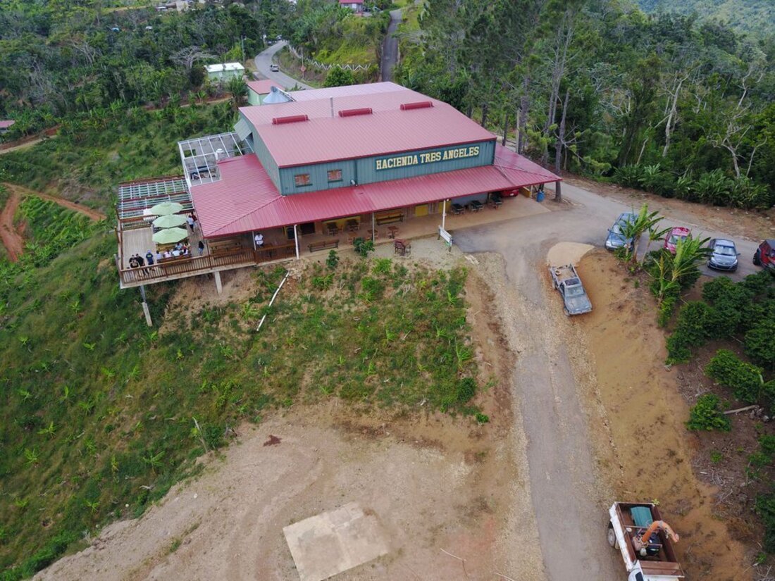 How Puerto Rico Became One Of The Caribbean’s Top Agritourism ...